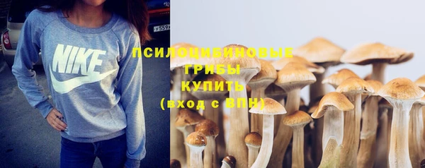 дживик Аркадак