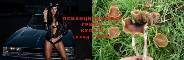 дживик Аркадак