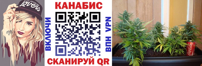 купить   Александровское  Марихуана индика 